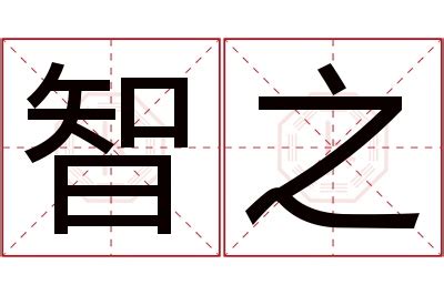 智名字意思|名字分析